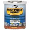 Rust Proof Any-Way Enamel
